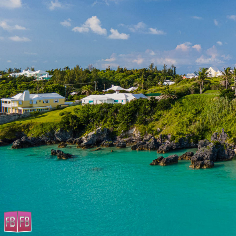ForeverBermuda tweet media