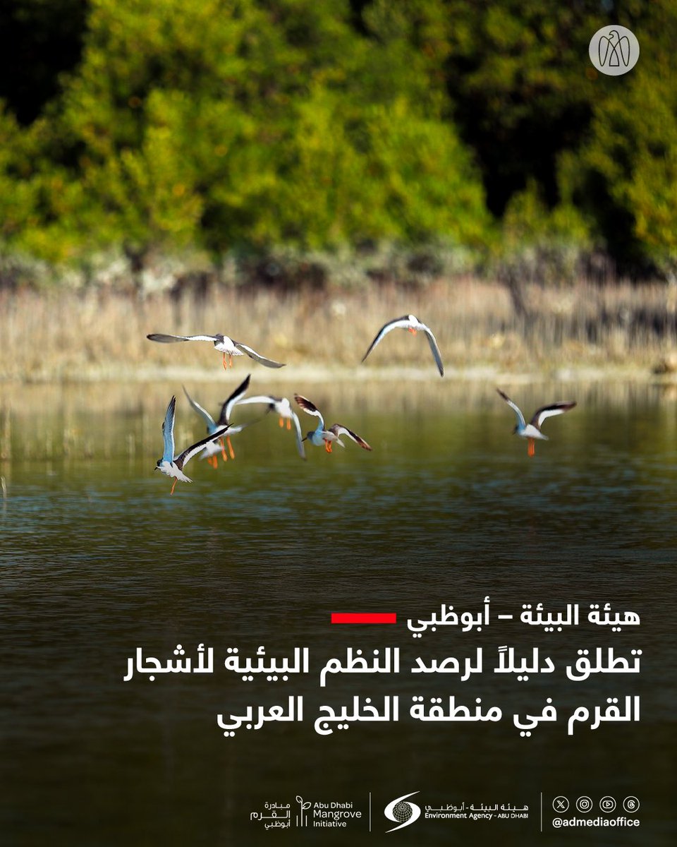 مكتب أبوظبي الإعلامي tweet media