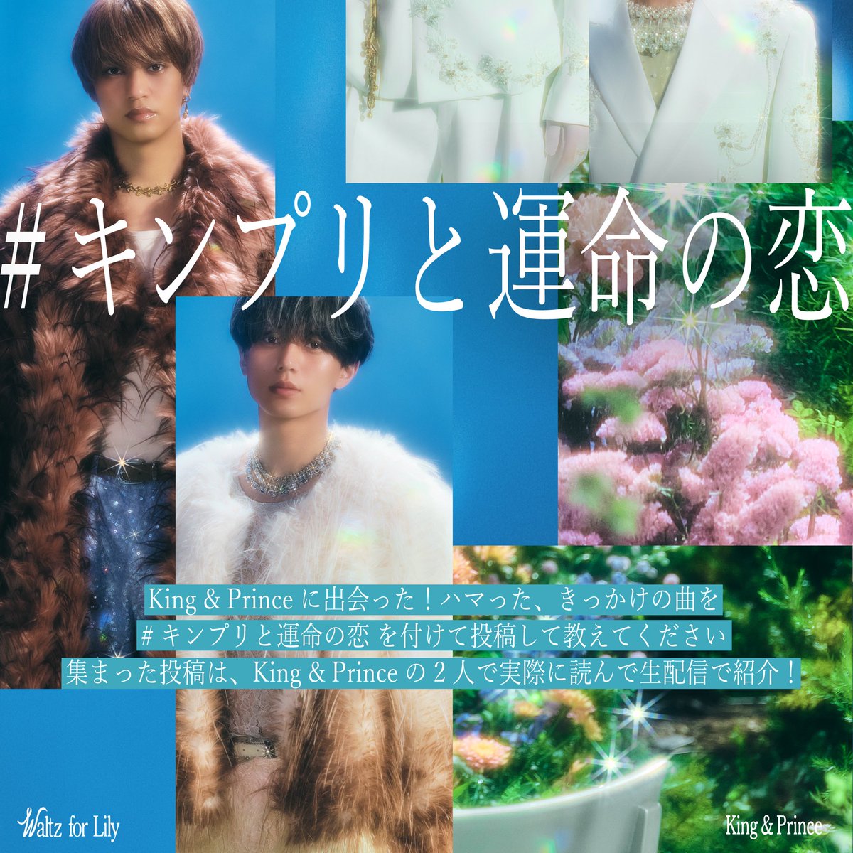 花花 (@hakumaichan7122) / Posts / X