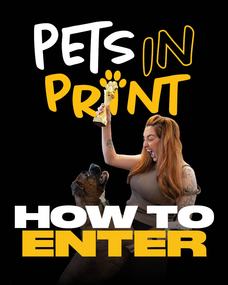 Innotech Digital tweet media