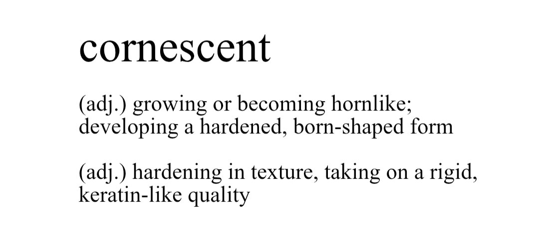 liandira tweet media