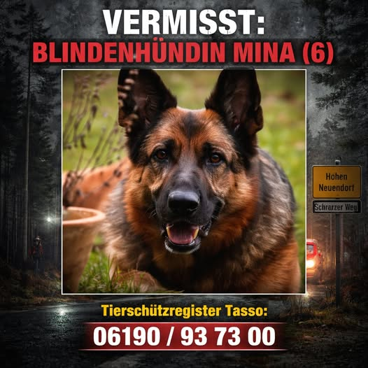 16540: Hohen Neuendorf
Blindenhündin Mina spurlos verschwunden... wer kann Hinweise geben
Kopie
Spur endet im Nichts: Blindenhündin Mina (6) im Wald verschwunden – Ohne Medikamente droht ihr die völlige Erblindung! 
Was ist im dunklen Wald von Hohen Neuendorf wirklich passiert?
