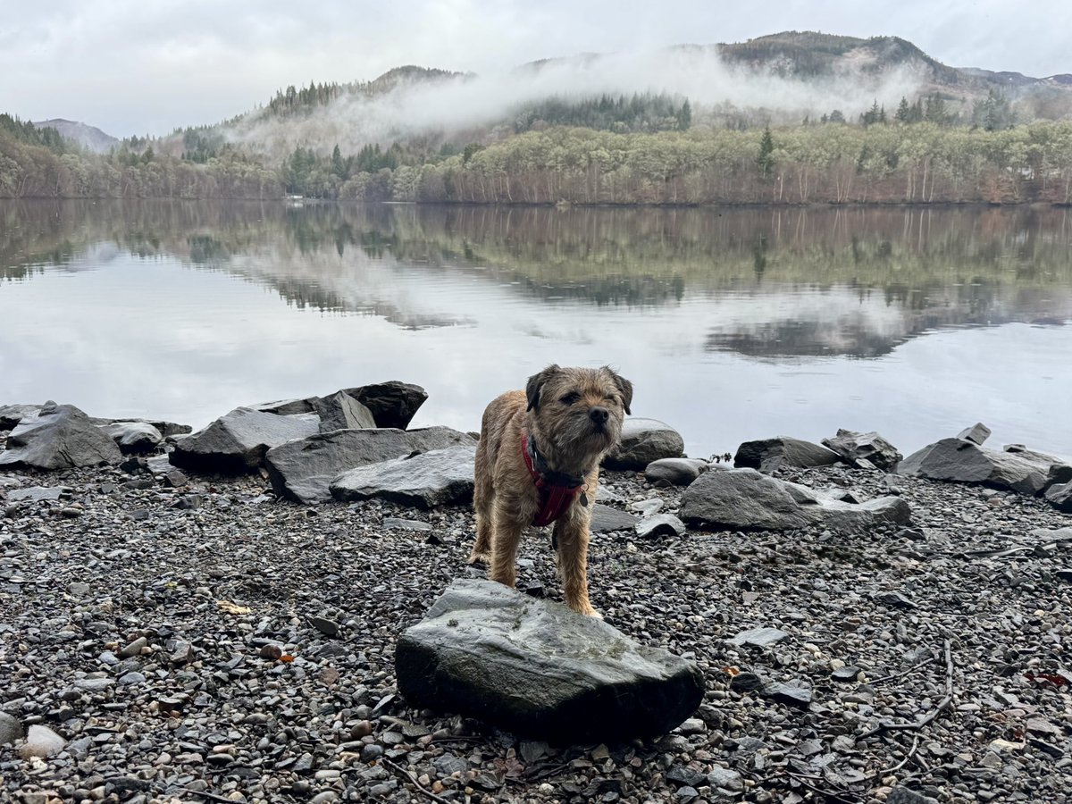 Lord Culter BT 🏴󠁧󠁢󠁳󠁣󠁴󠁿 Order of the IT tweet media