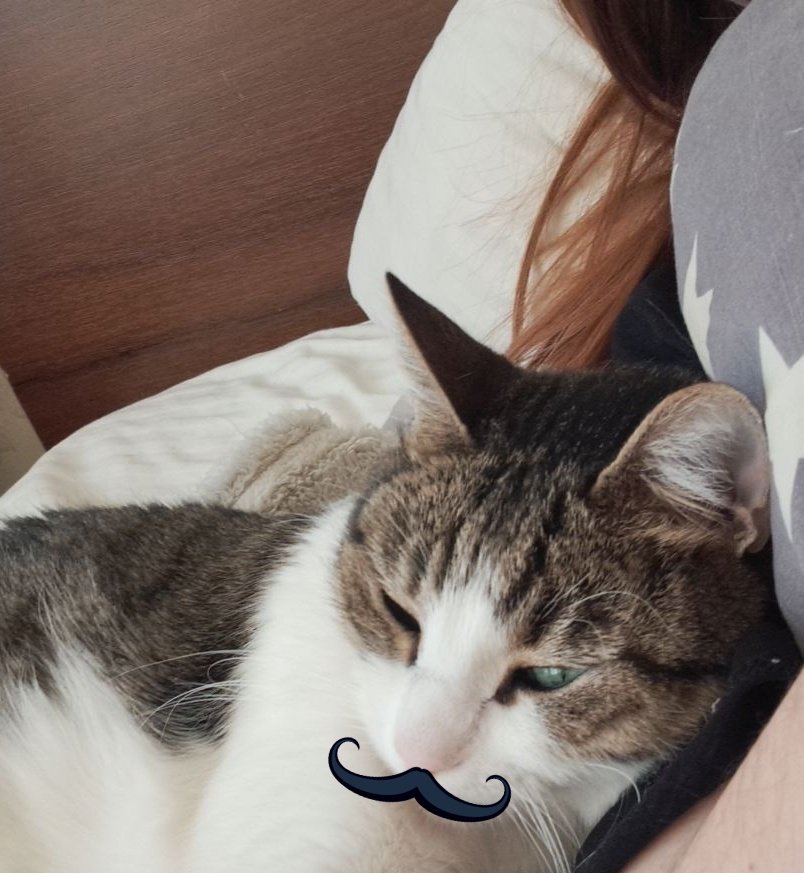 𝗪𝗵𝘆𝗼𝗺𝗻𝗶🦄🔞 tweet media