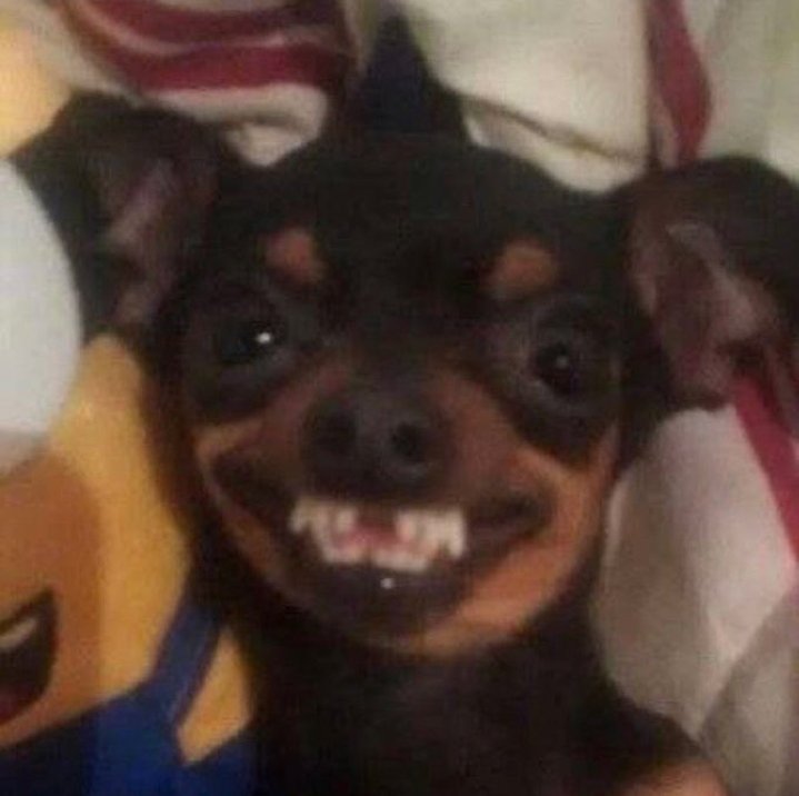 Some girls be dey feel like say na everyone  want them, I send you MUTUALS? for your cs, which be I have a boyfriend 😂