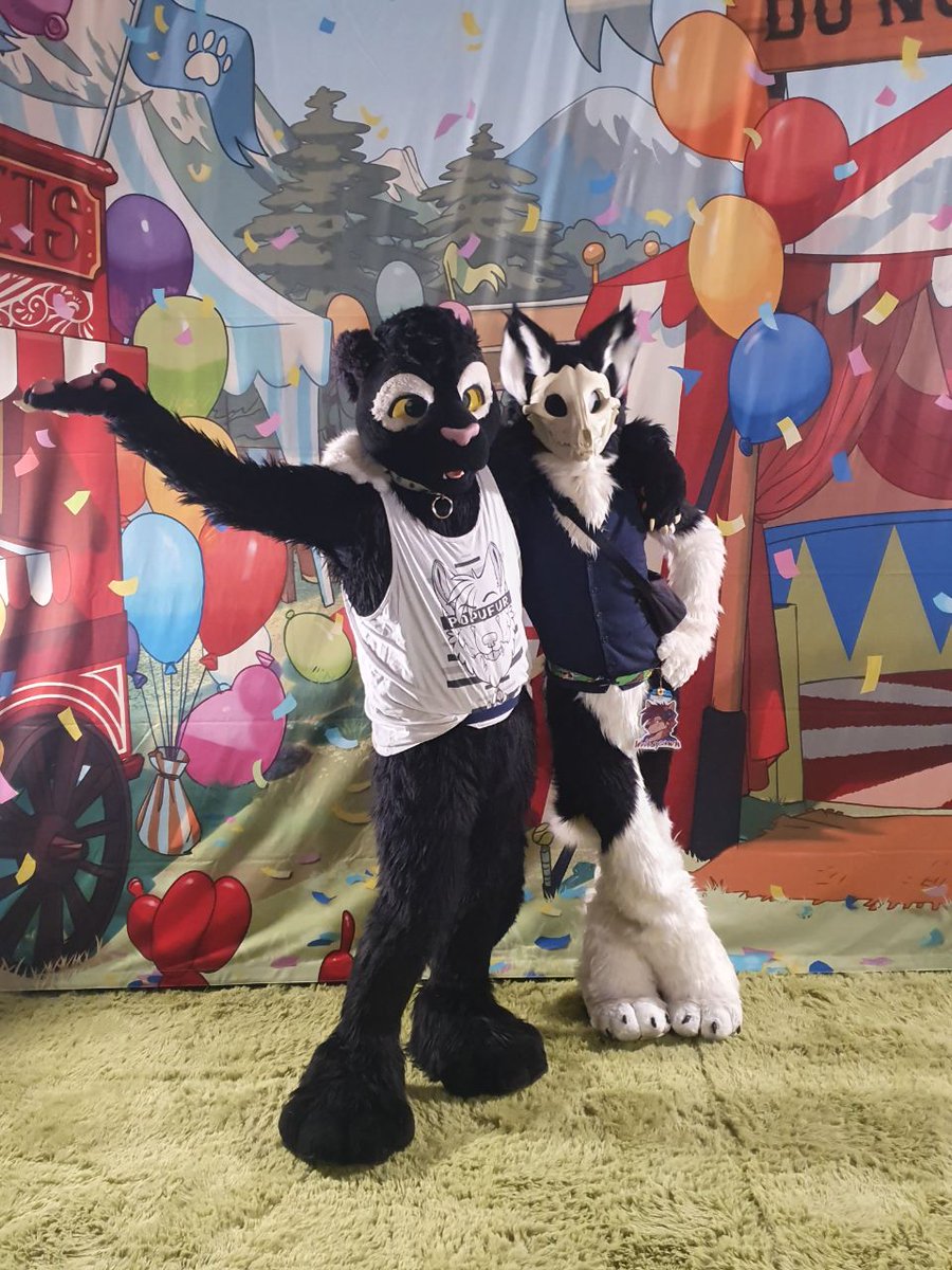 Shads NFC 🇸🇪 Twitch cat tweet media