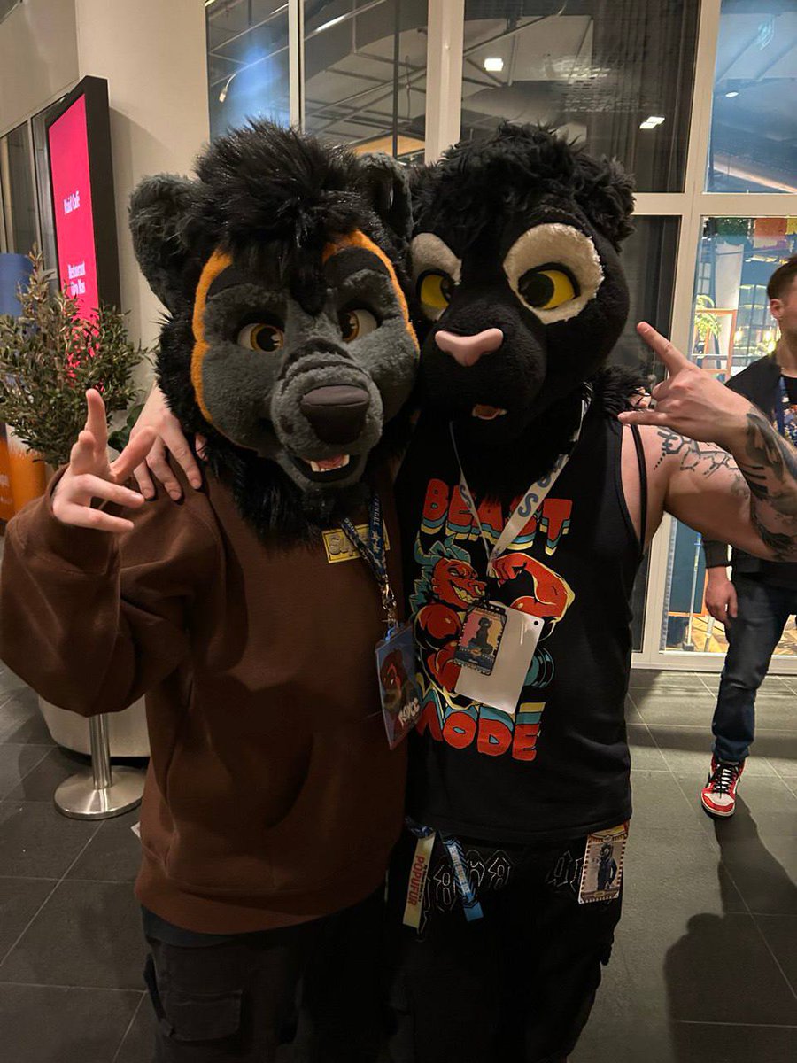 Shads NFC 🇸🇪 Twitch cat tweet media