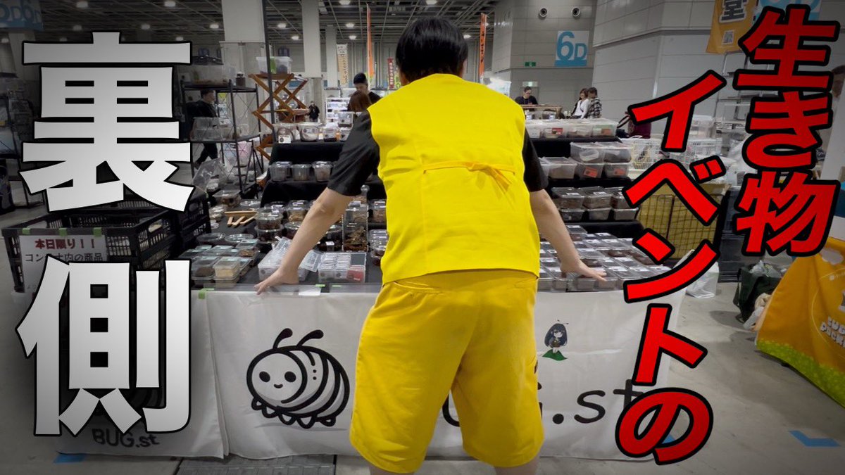 キョンシー蜂丸(昆虫ハウス101号室) tweet media