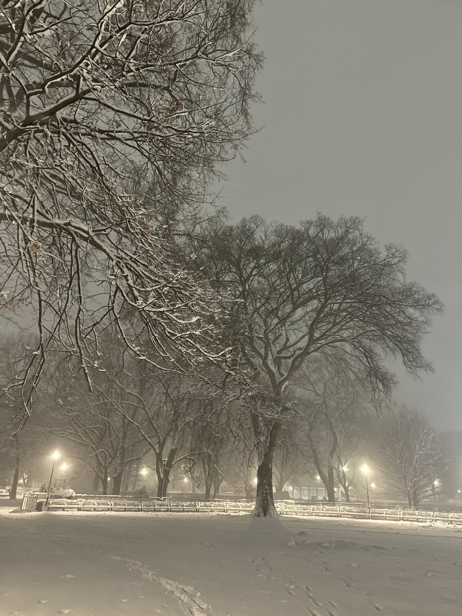 East Village tweet media