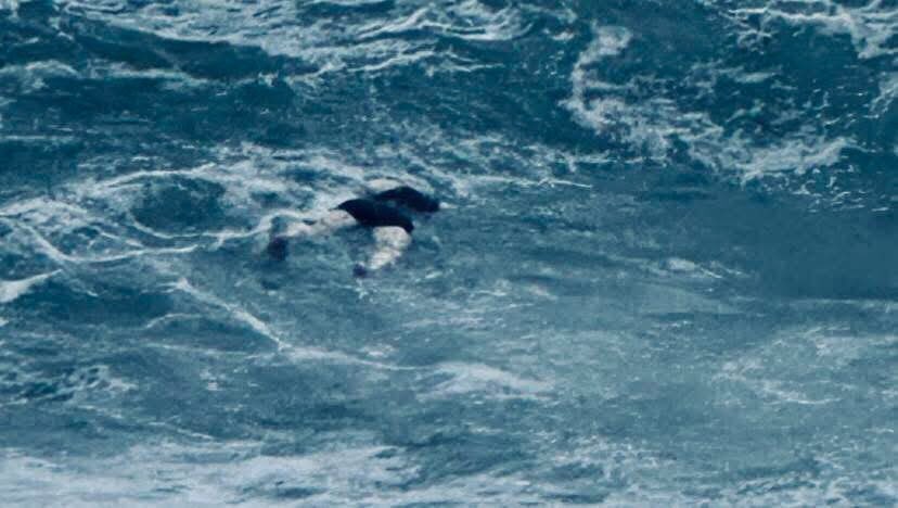 Ilaria Salis tweet media