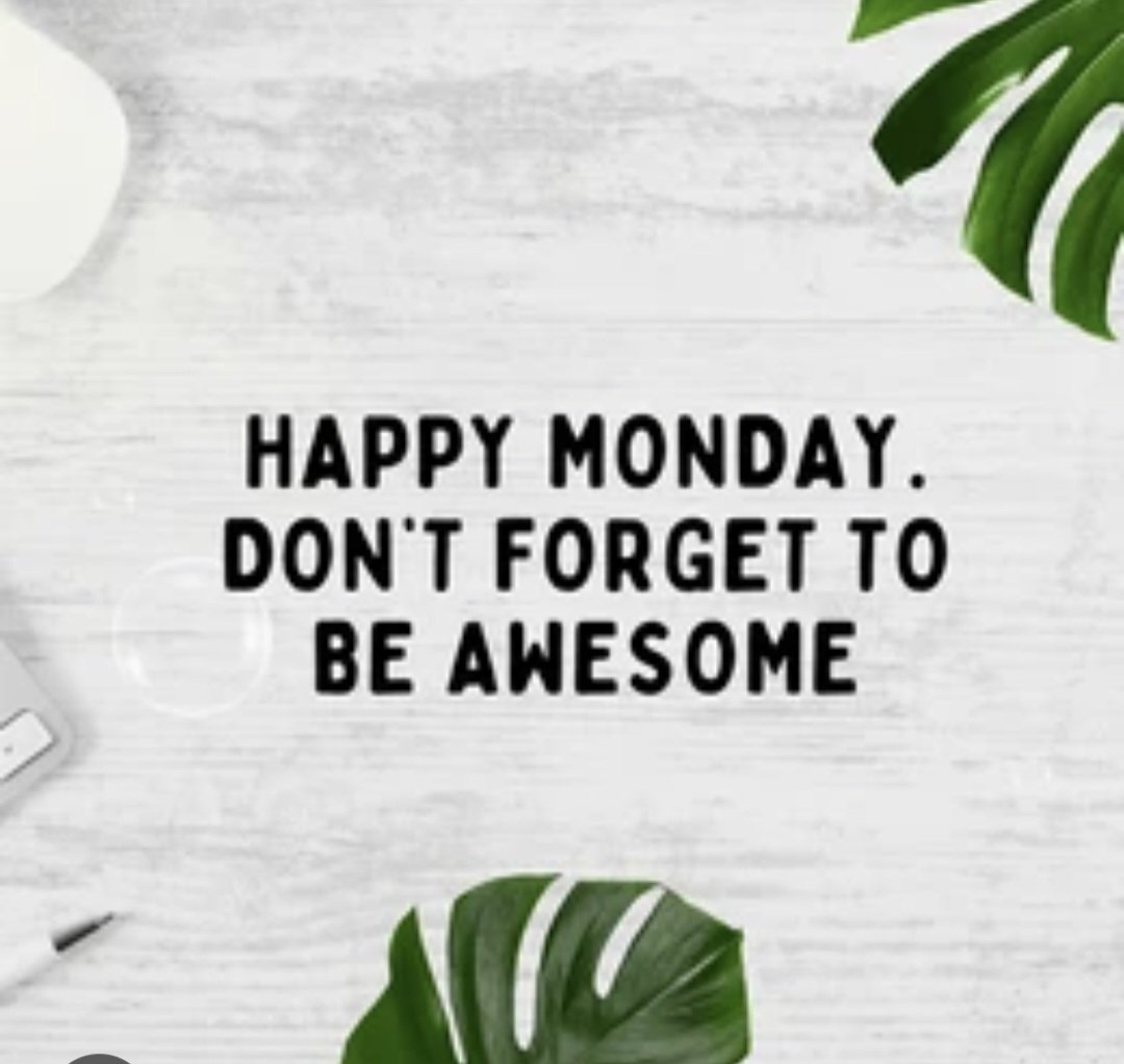 StephanieCollier225 tweet media