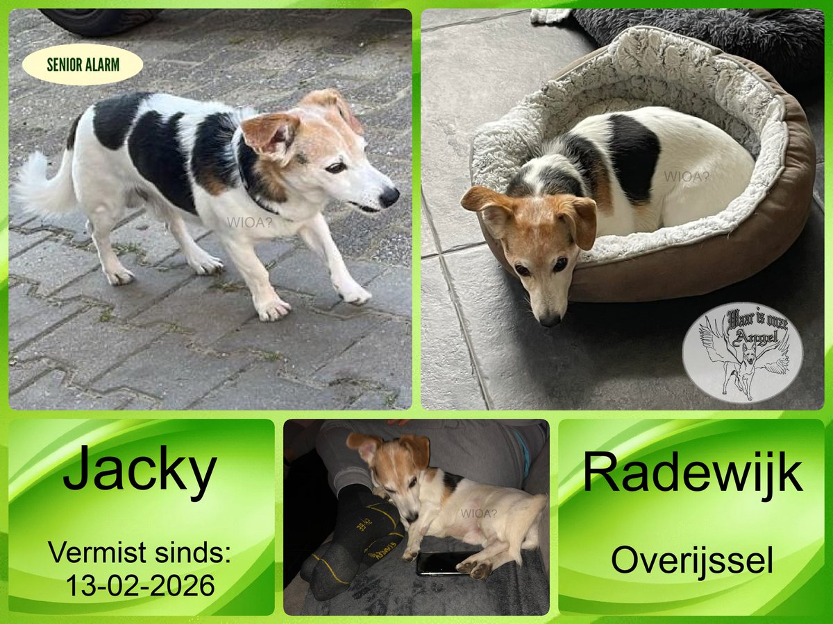 waarisonzeangel's tweet photo. Jacky #Vermist sinds 13-02-2026 te #Radewijk #Overijssel
https://t.co/hFtLXdQHli https://t.co/WrgtVXf762