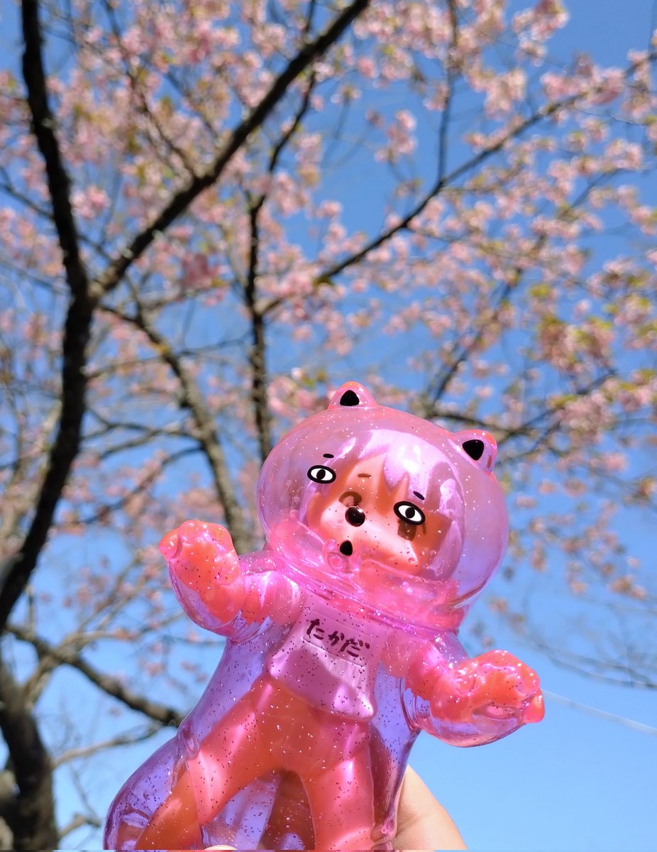 チェリ@バケタンブログ (@cherri_cherri) / Posts / X