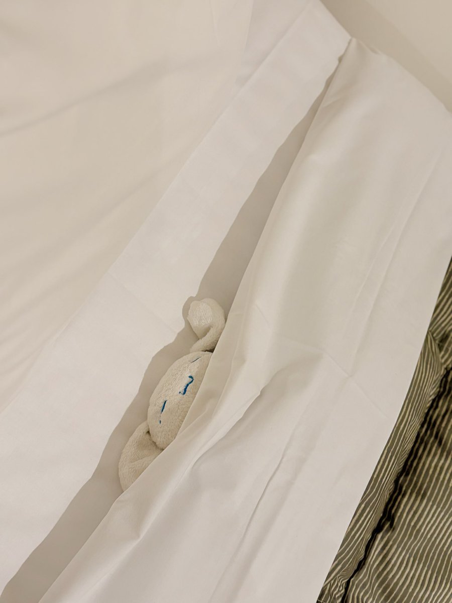 これは掛け布団とシーツのパツパツに収まるシナモン