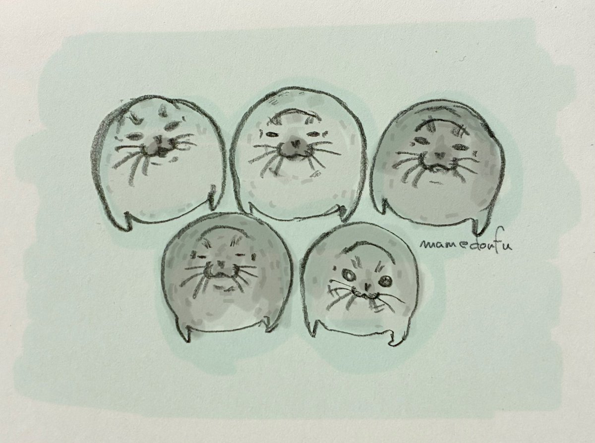 5アザラシ
from GAO