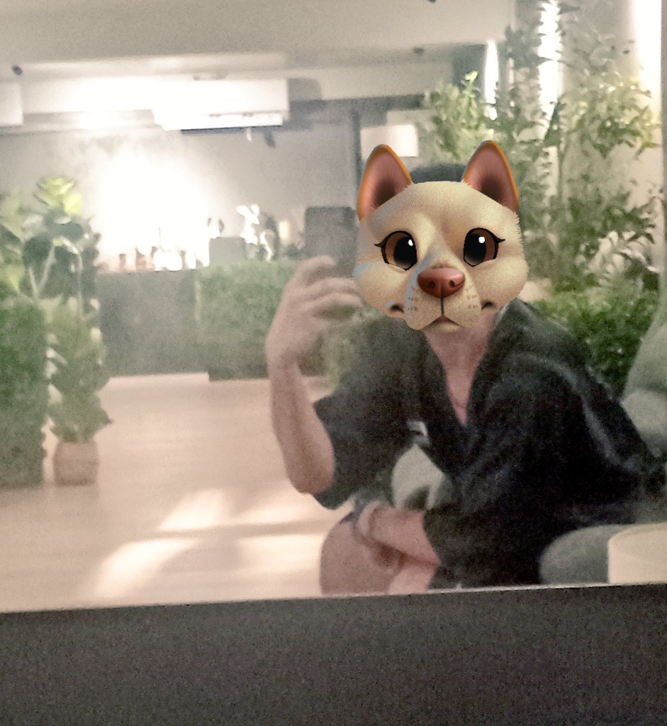 ⭐️🐶กลุ่มดาวหมา🐺⭐️ tweet media