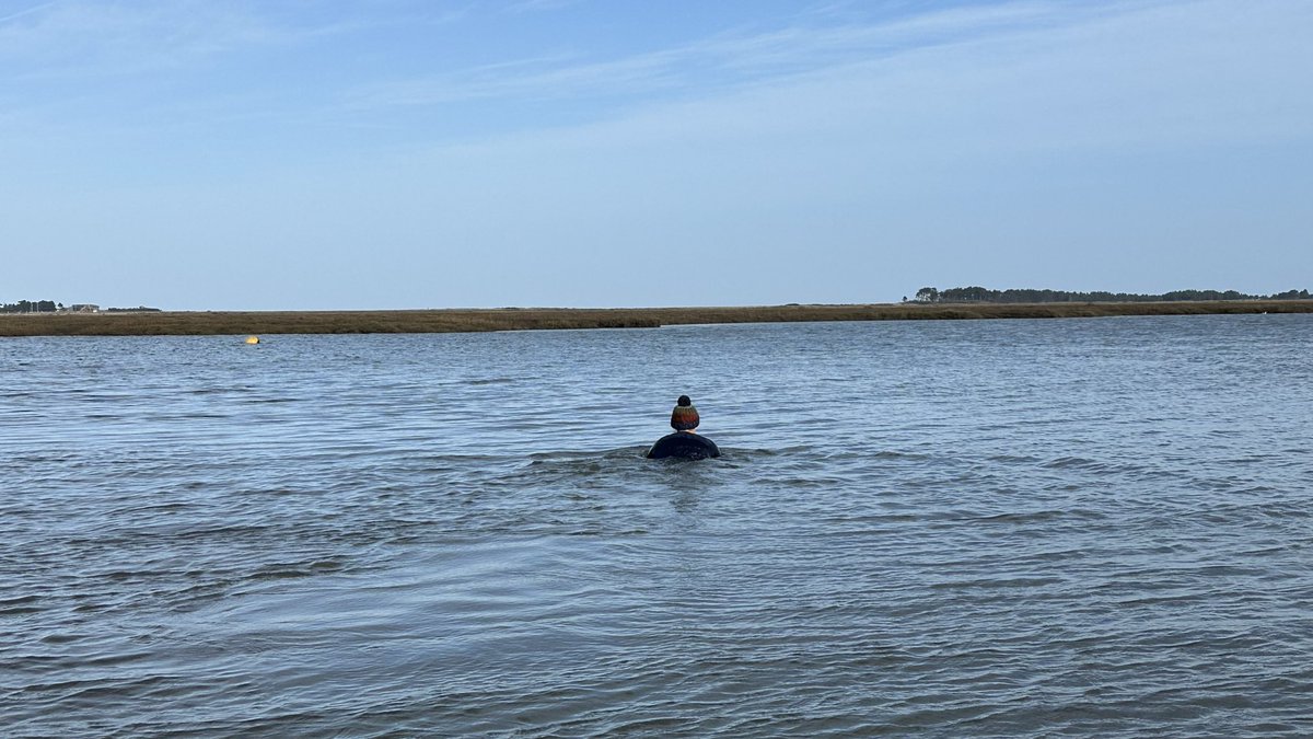 Twiggy Bigwood tweet media