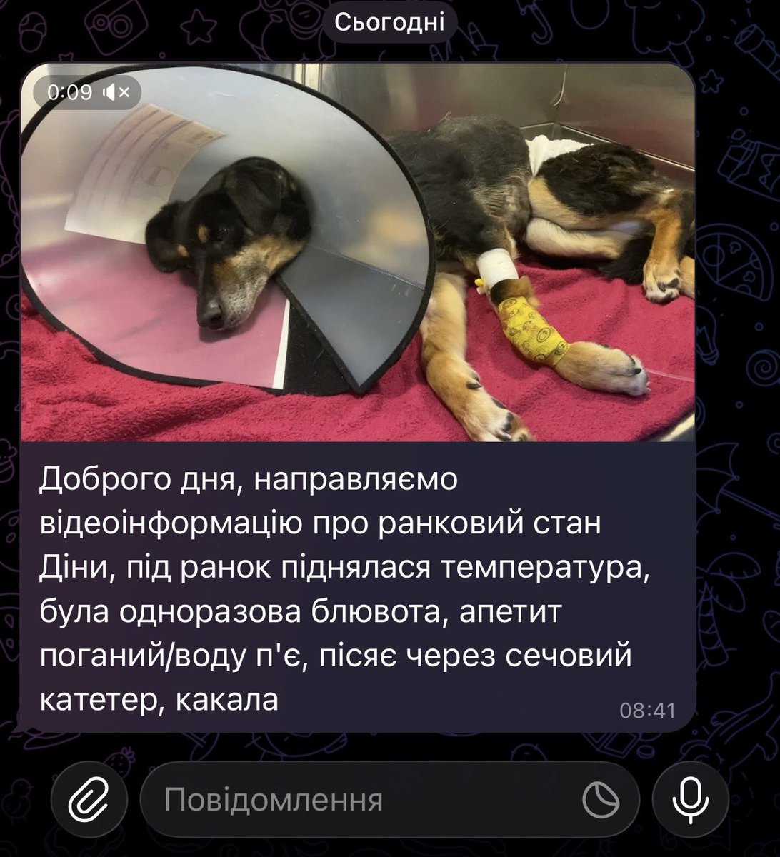 ma chérie tweet media