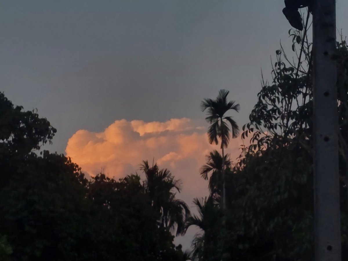 ฟ้า...ที่แปลว่าท้องฟ้า🌫 tweet media