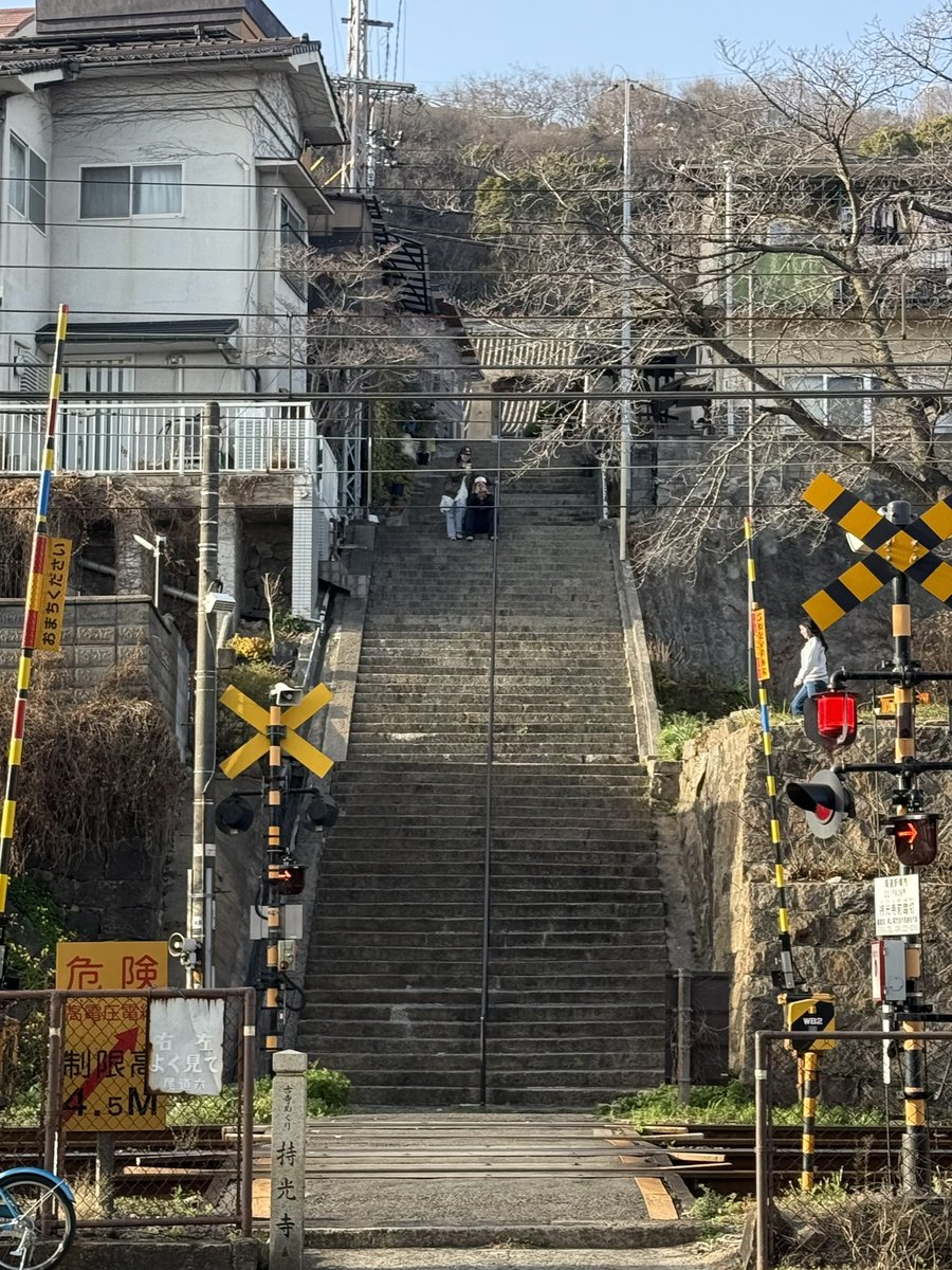 chocotoko tweet media