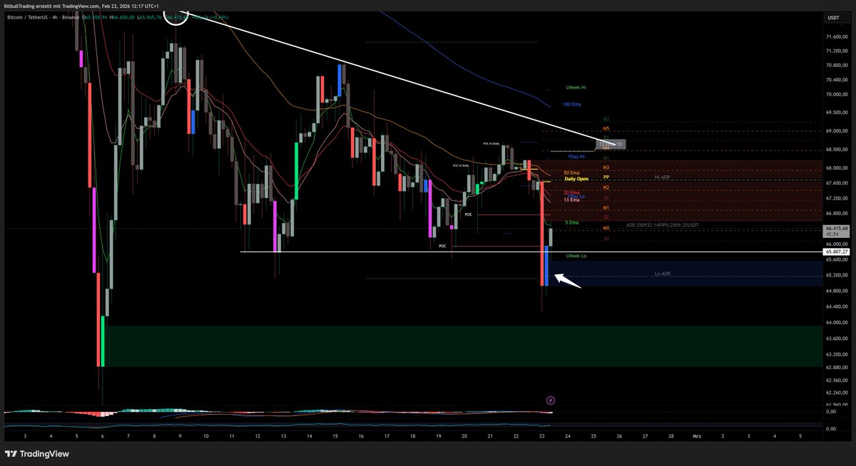 Bitbull tweet media