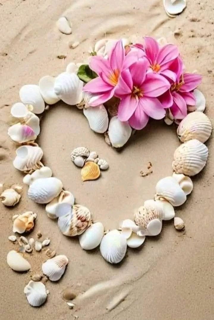 هذا الحياة لم تأتي علي مزاج أحد سنعيشها بحلوها ومرها فلا تؤلموا أحد فكل القلوب مليئة بما يكفيها ..