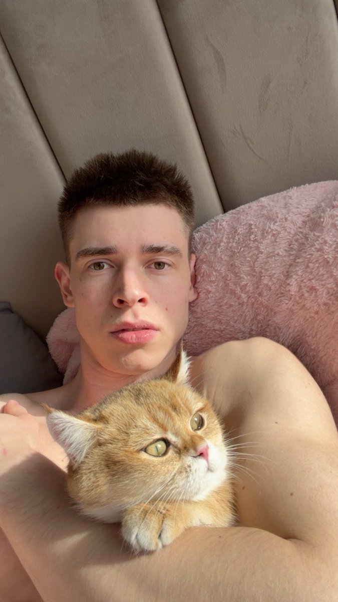 Glebasee tweet media