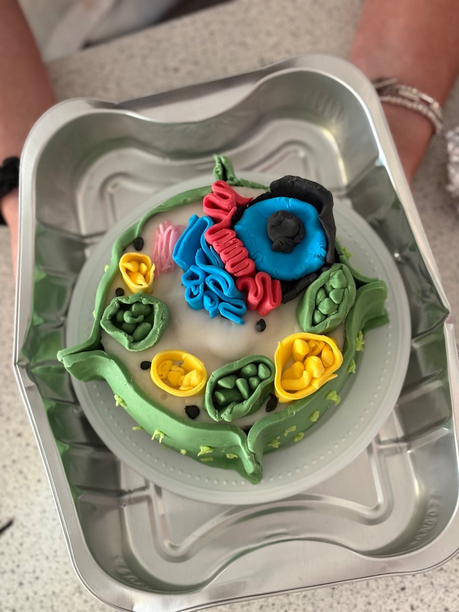 Mrs Wallace 🪐 tweet media