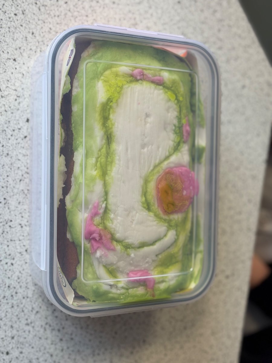 Mrs Wallace 🪐 tweet media