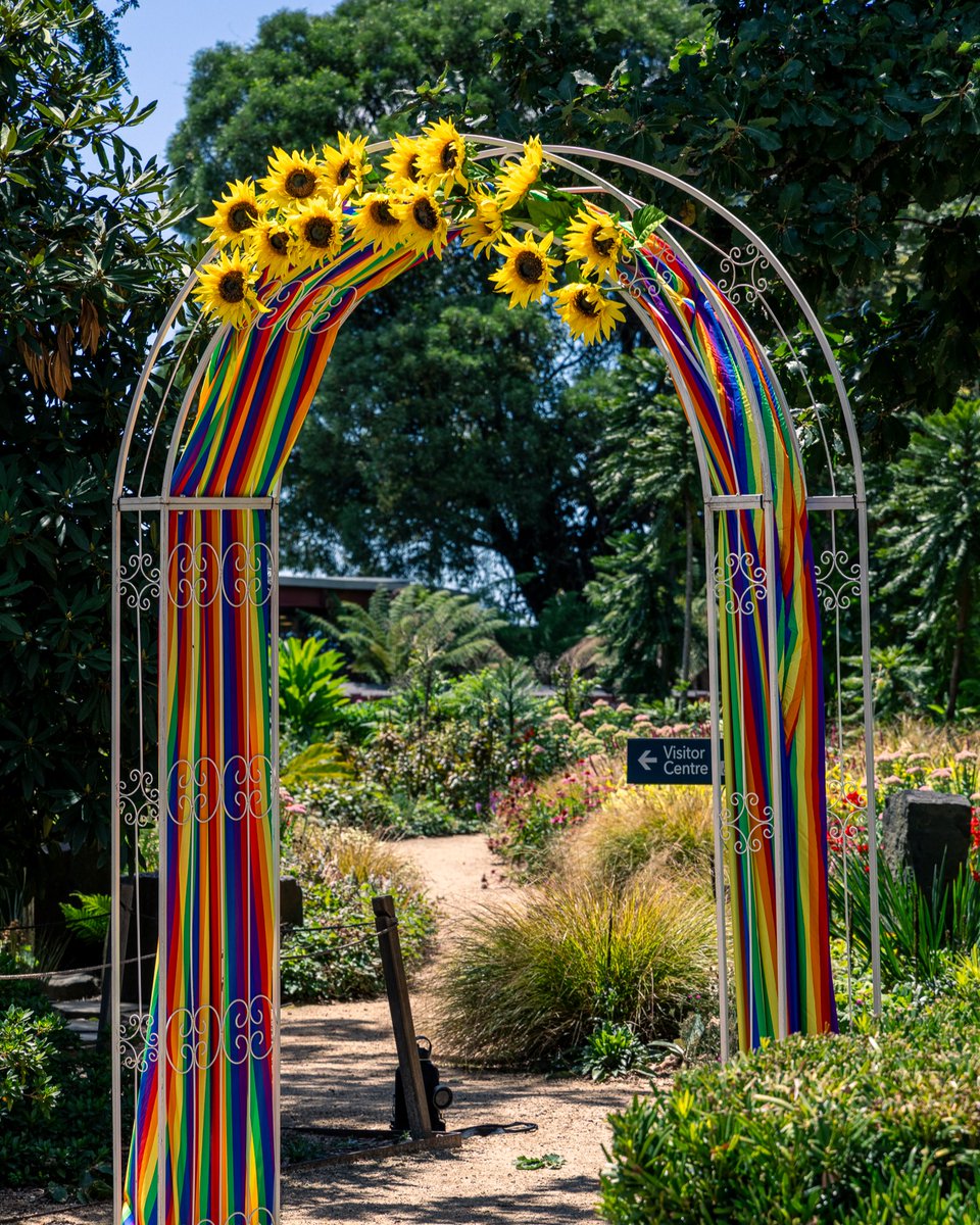 Botanic Gardens of Sydney tweet media