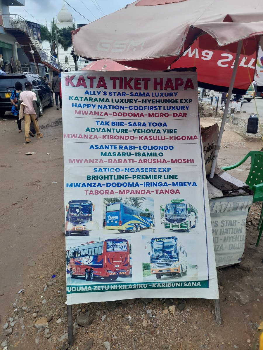 mysafari Tanzania tweet media