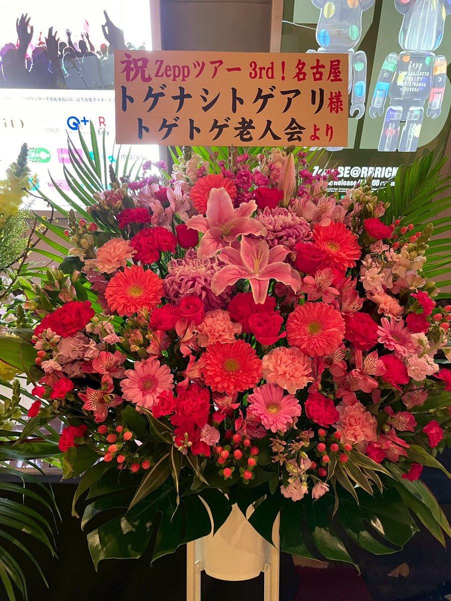 トゲナシトゲアリ Zepp Tour 2026 #拍動の未来 📍Zepp Nagoya いただい