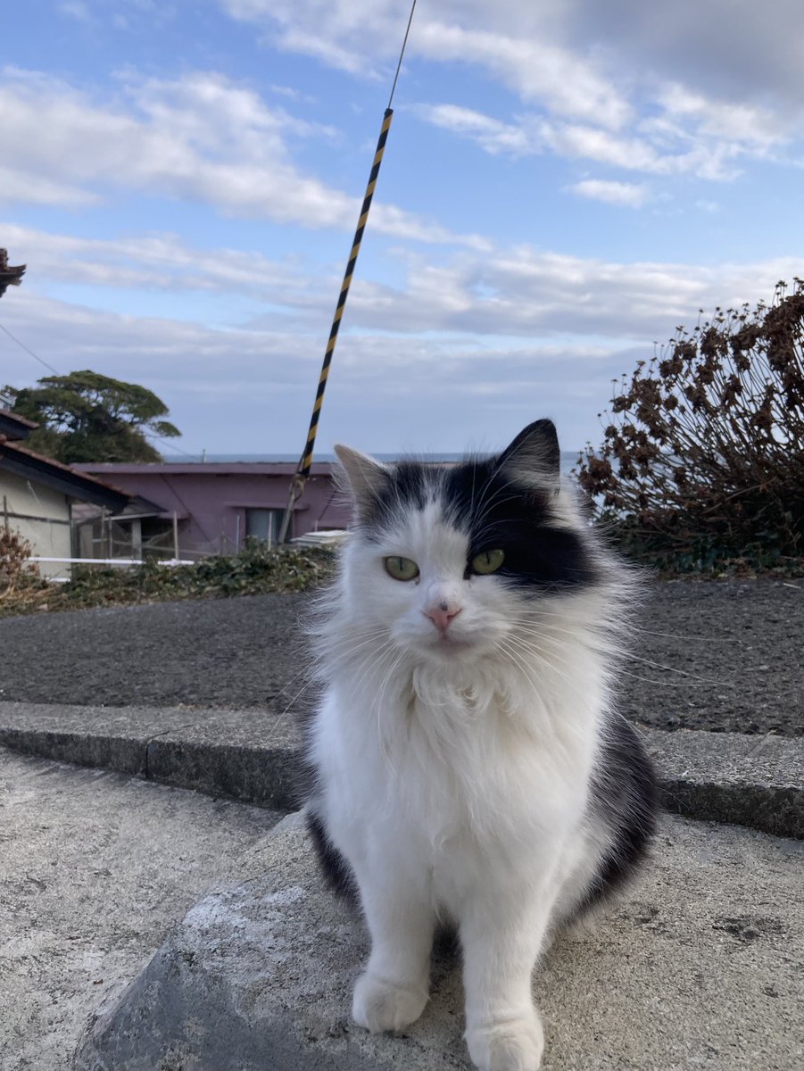 夕方の様子 午後から船が動いて、観光のお客様にたくさん遊んでもらっ