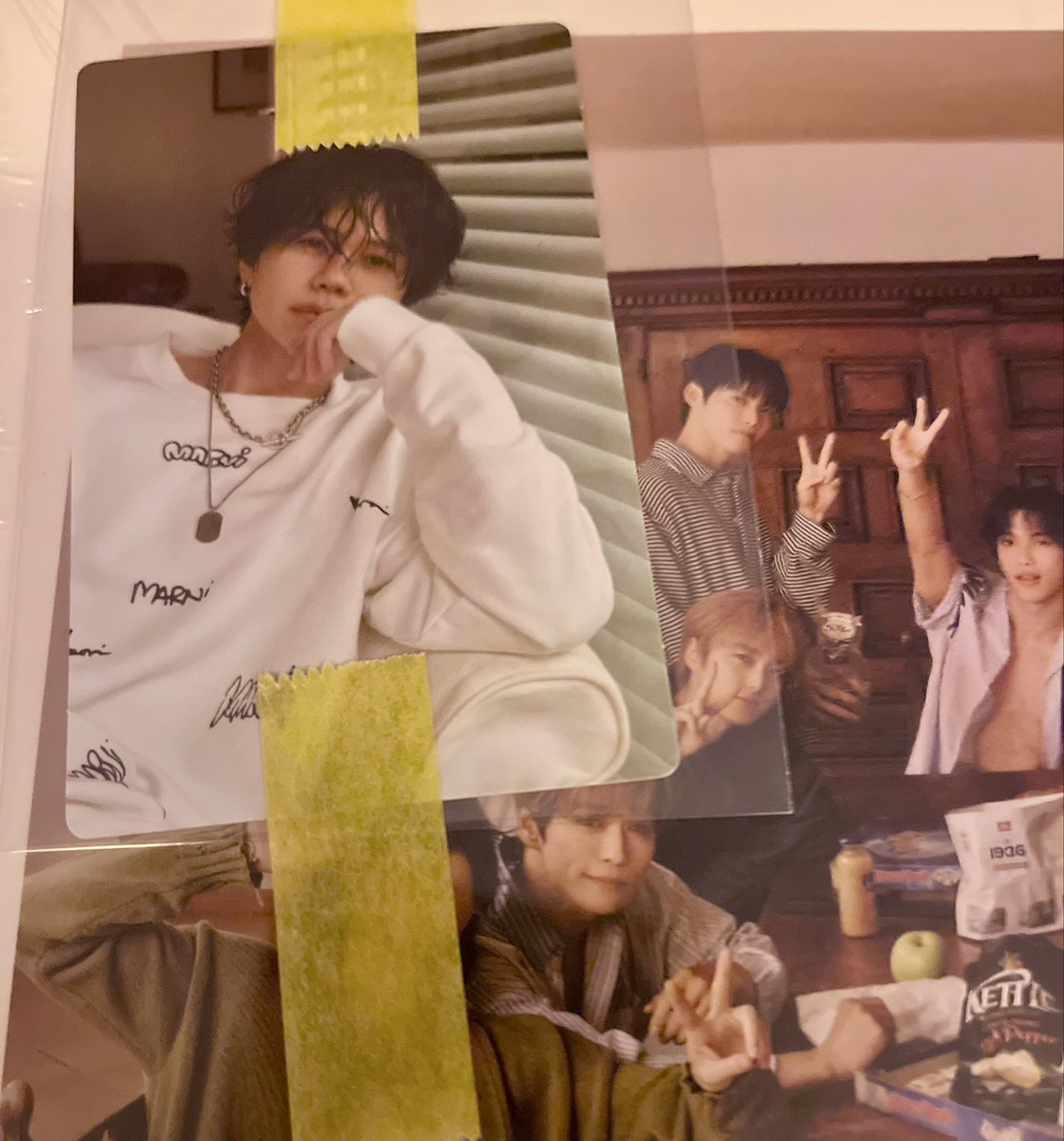 しっぽ tweet media