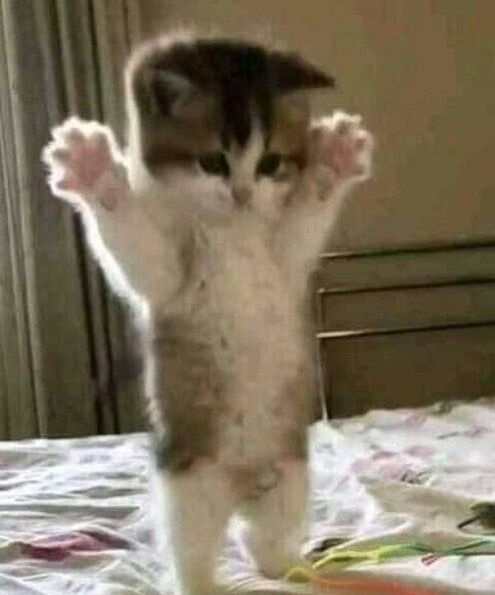 ♈☘︎ (@soosimply_) on Twitter photo 