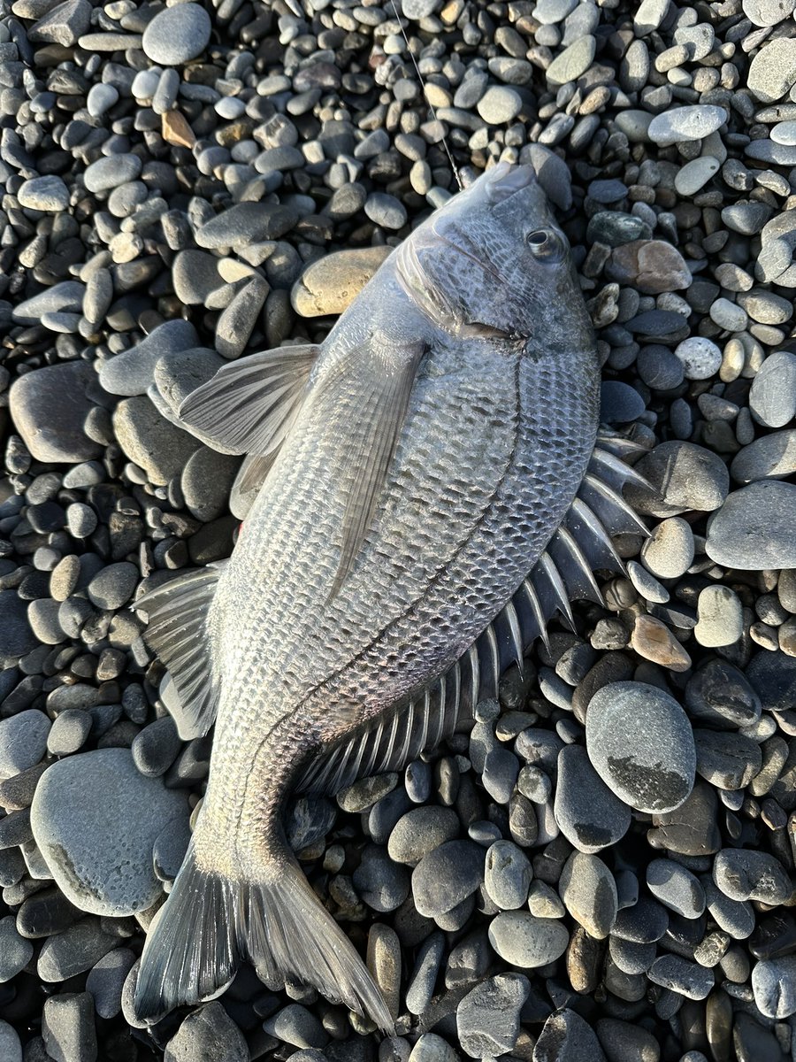 不破　大智 tweet media