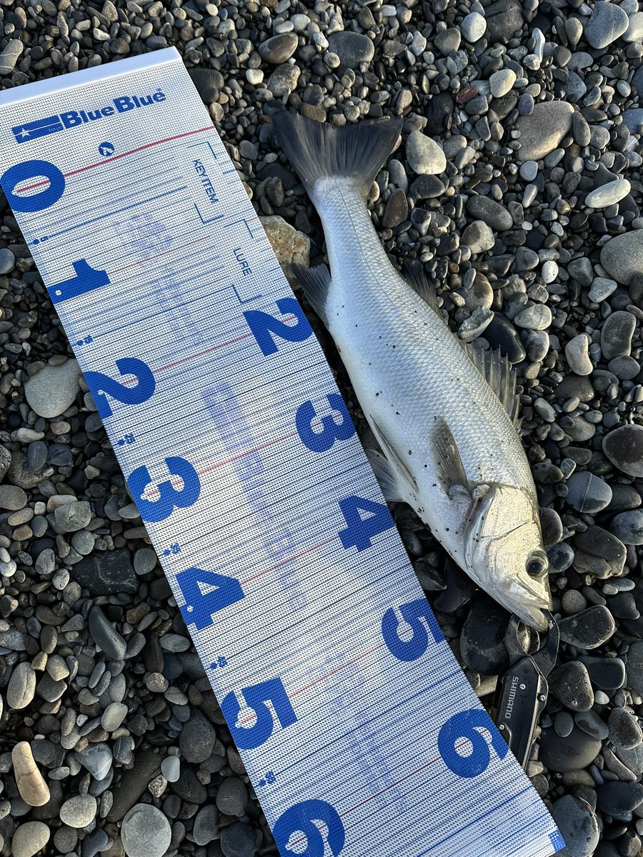 不破　大智 tweet media