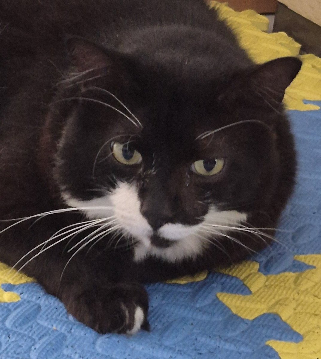 Ricko Setiawan  tweet media