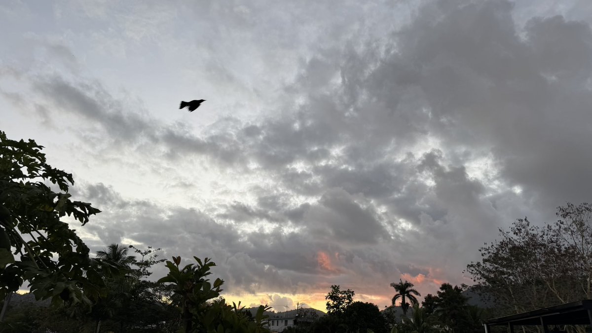 Leidy Díaz tweet media