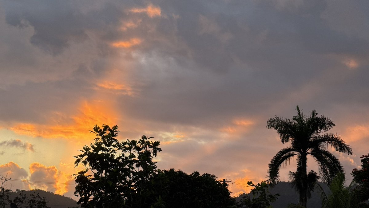 Leidy Díaz tweet media