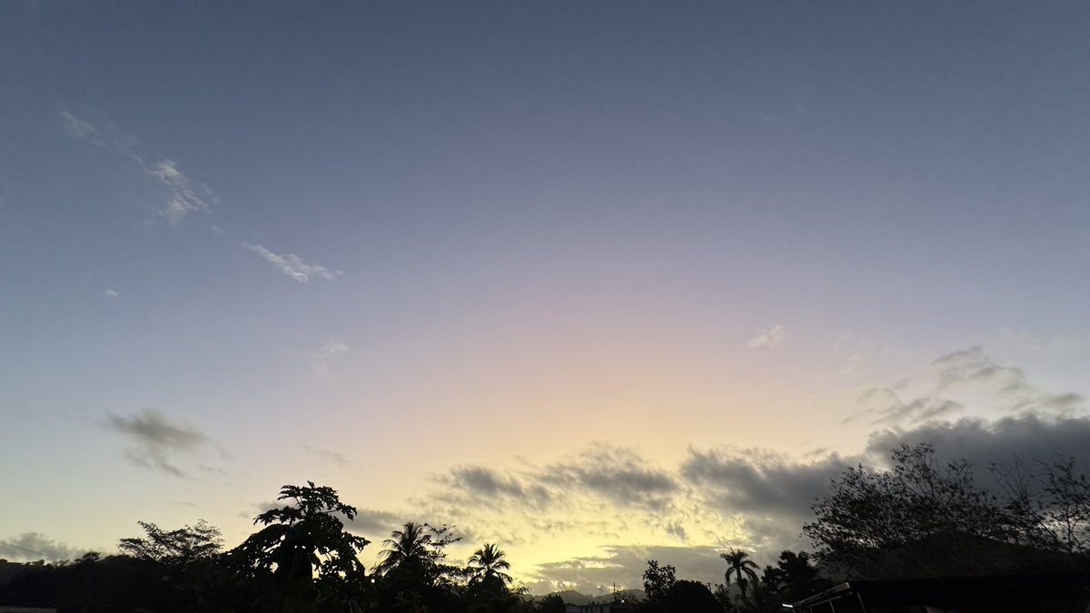 Leidy Díaz tweet media