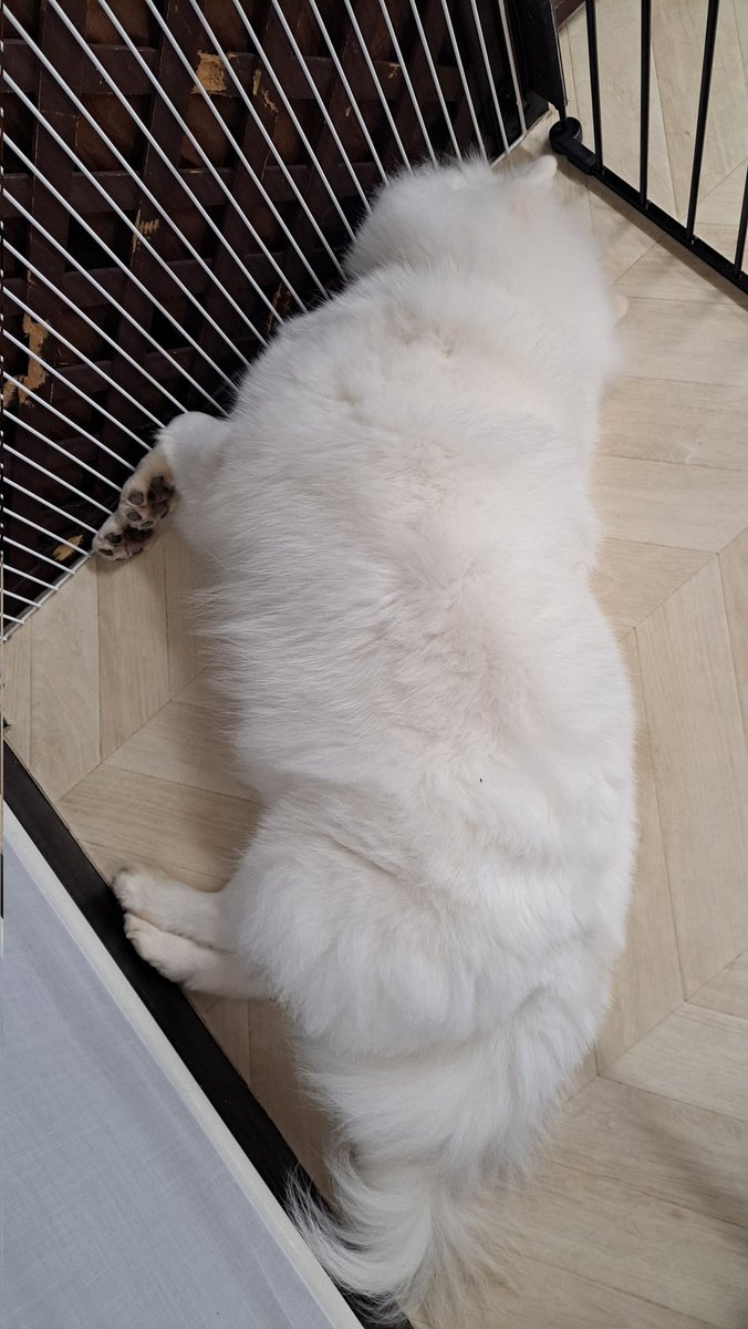 甥っ子姪っ子が行きたいというので連れて行ってみた