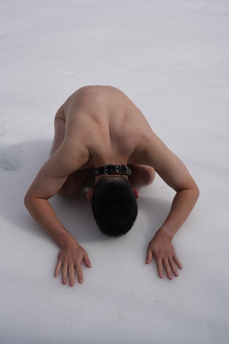 そるば tweet media