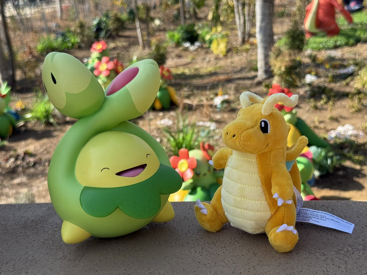 うどんどん tweet media