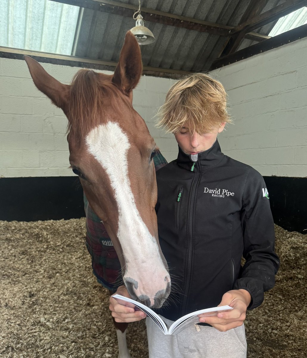 David Pipe tweet media