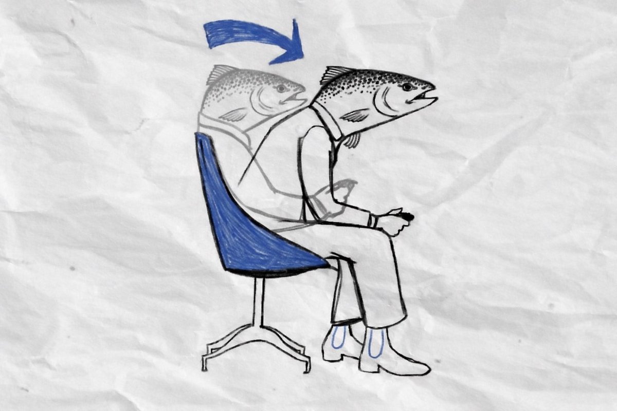 Lock the trout in 🐟

We about to go $BigTrout Mode