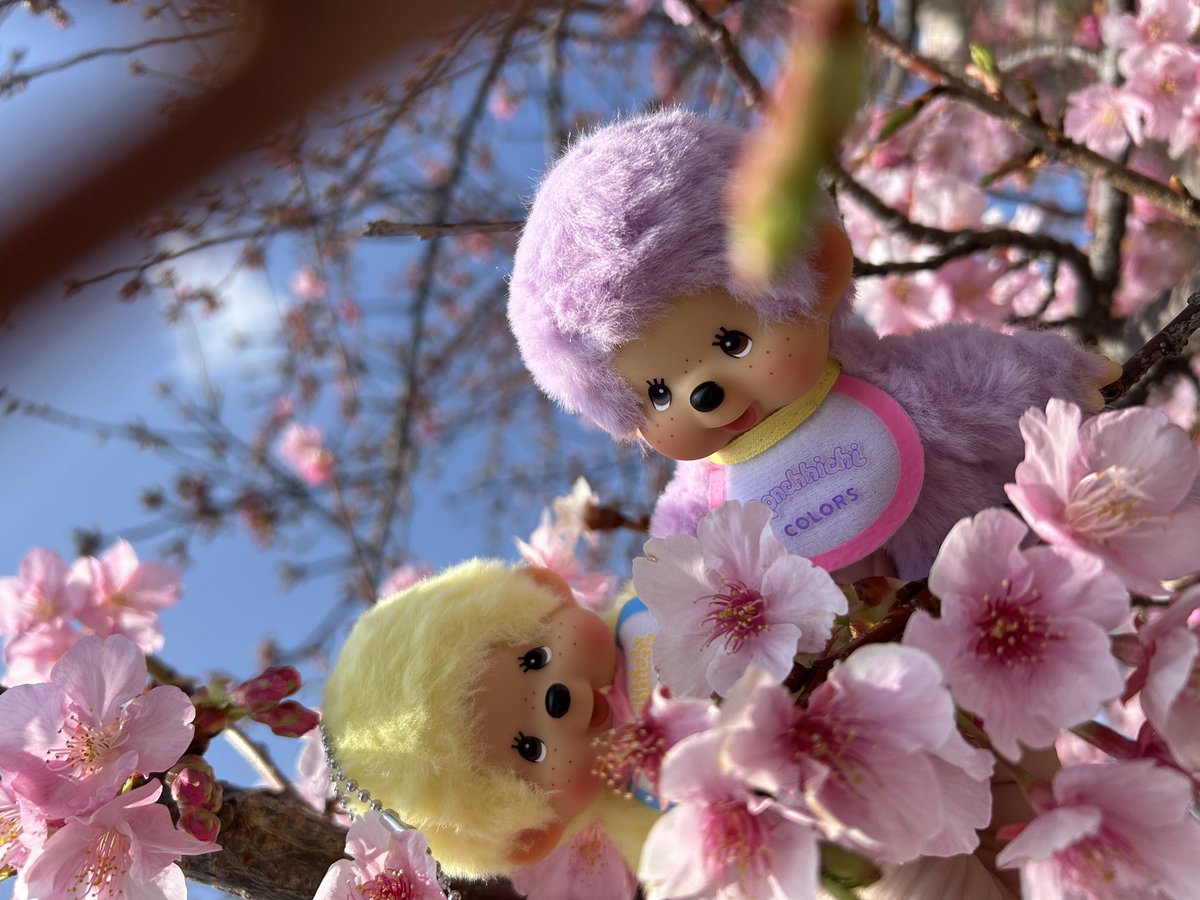 わんちぇる tweet media