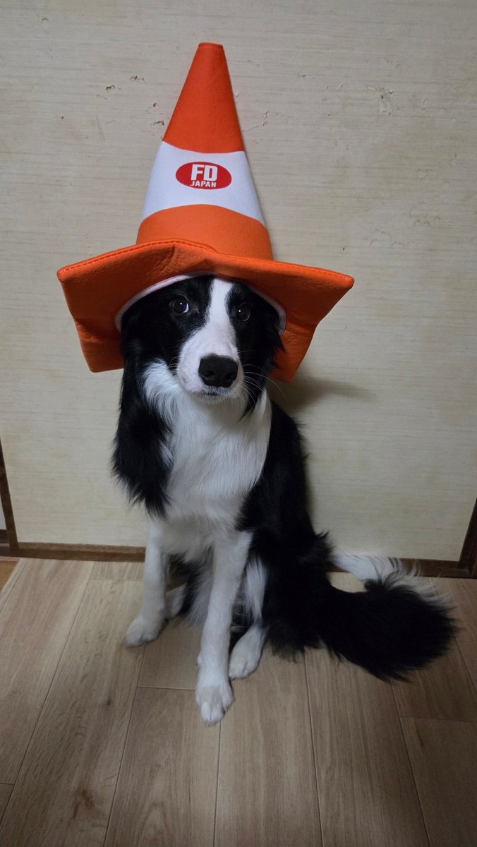 ジェイス (@jayce_350z) on X