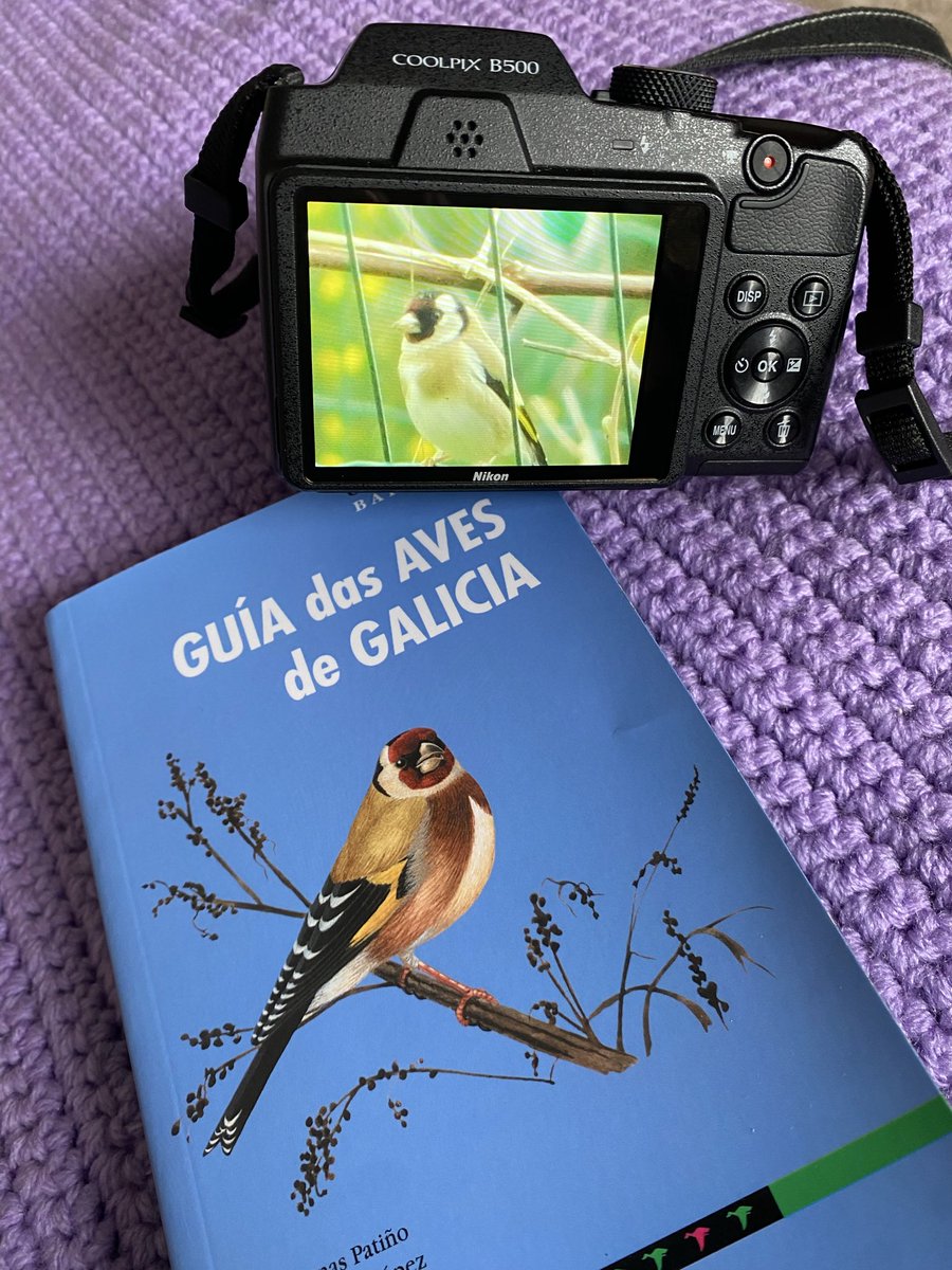 Carla 🌙 tweet media