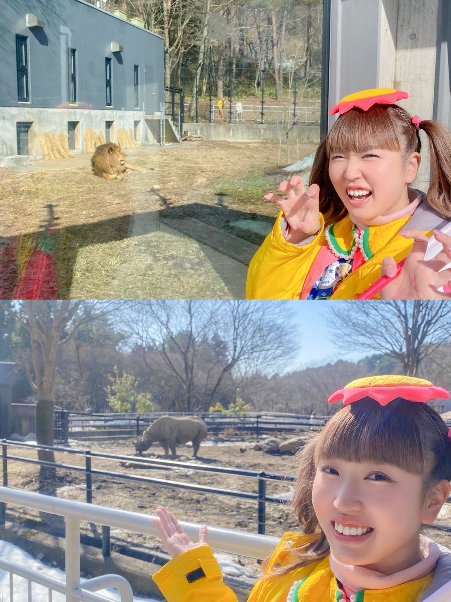 盛岡市動物公園 ZOOMO (@moriokazoo) / Posts / X